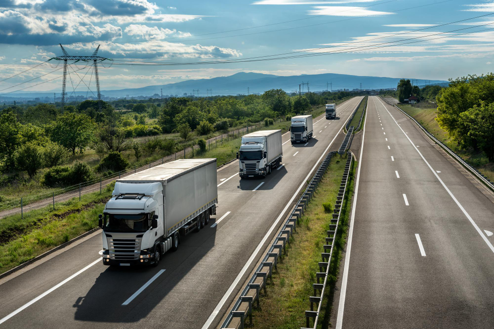 Staying Safe When Sharing the Road: Essential Tips for Fleet Rental